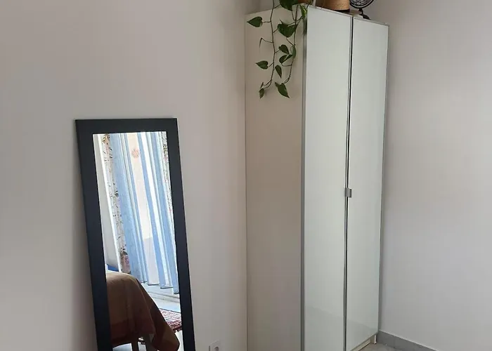 Cherry & Mountain Ajaccio (Corsica)